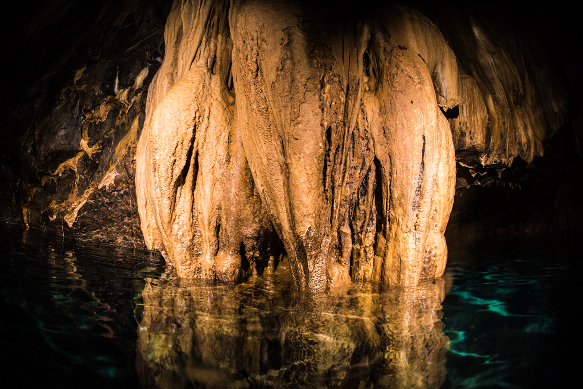 水中映像・過去の提供先