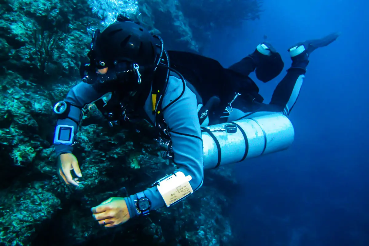 水中写真&動画の無料提供