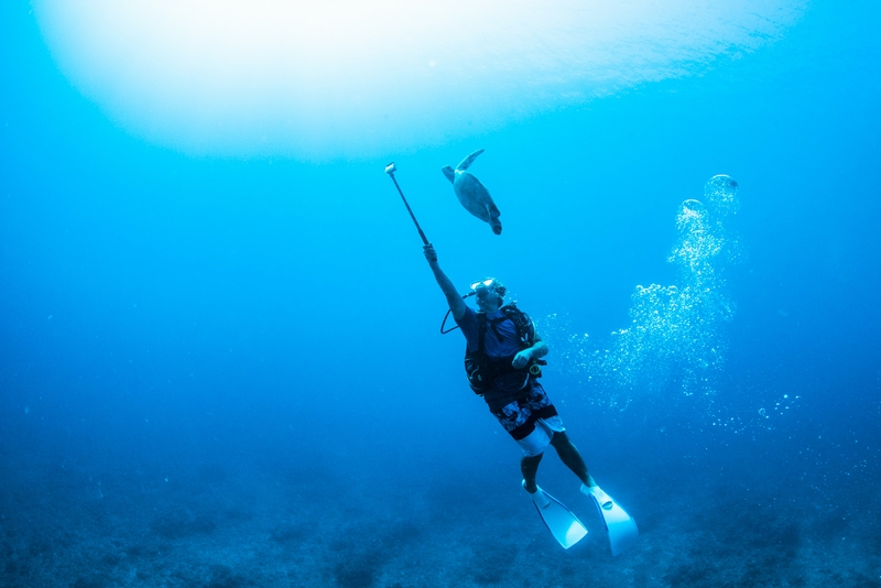 海亀をGoProで撮影するダイバー