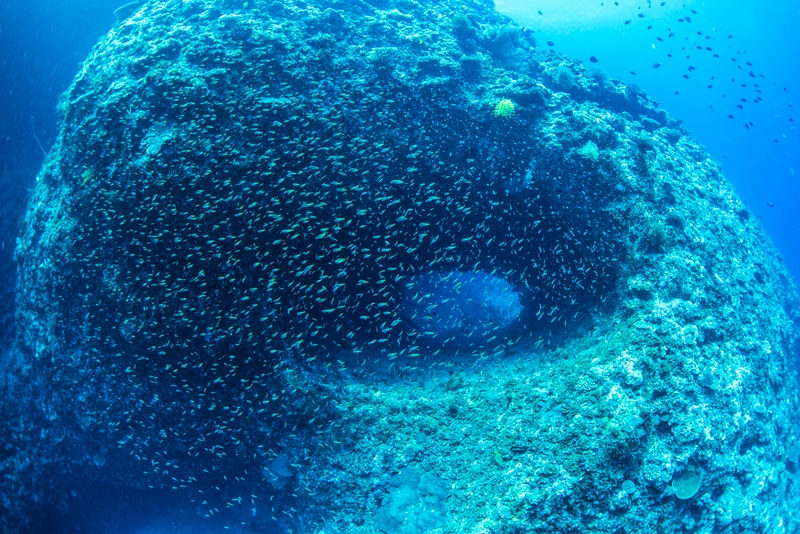 伊江島・釣り場ポイントの水中トンネル ②