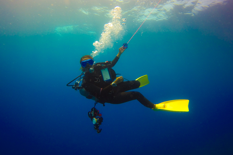 古宇利島の調査ダイビング②・Gopro(ゴープロ)の水中写真