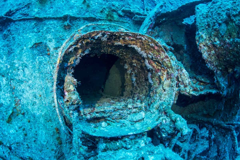 第二次世界大戦の沈没船・エモンズの内部通路の扉②