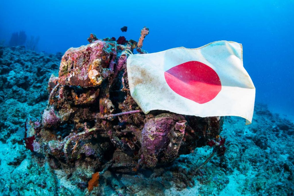 旧日本軍の特攻機「九八式直接協同偵察機」×国旗