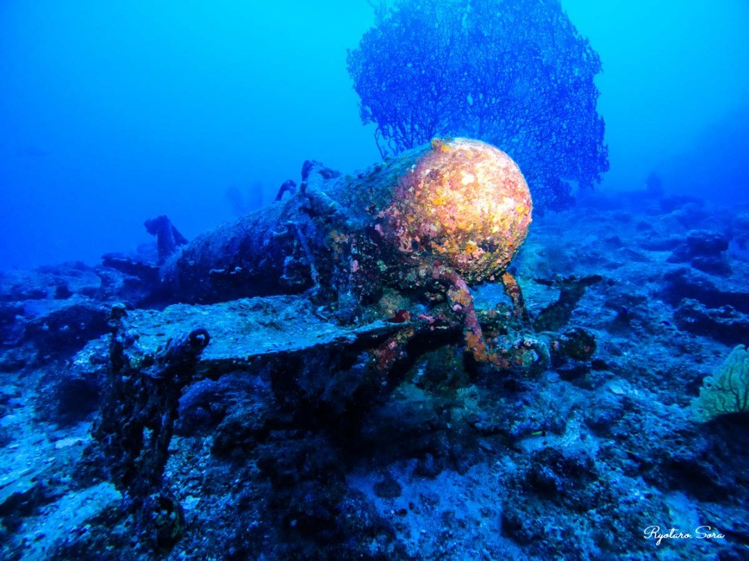 パラベーン掃海具・USSエモンズ
https://www.cubex.jp/archives/5679
USSエモンズの船尾から数十メートルほど離れた付近、水深約42メートルの砂地に落ちている。航走用のスクリューが無いので、駆逐艦から引きずって敵機雷を掃海除去する為のパラベーン掃海具と思われる。爆発の危険は高くはないが近づかないほうが良い。パラベーン掃海具は全長約3.5mの円筒状の装置で、危険海域に到達すると「掃海具」を左右方向に投下する。この「掃海具」は曳航ワイヤーによって艦の速度に合わせて自動的に一定の距離、一定の深度で艦の両側に展開する。
撮影カメラ： Go Pro・ゴープロ　HERO9　Black
水中ライト： キャニスターライト(スポット)
水深： 42M
撮影地：沖縄　古宇利島　USS EMMONS(エモンズ)
#エモンズ #ワールドダイビング #沖縄ダイビング #ダイビング #スキューバダイビング #古利島 #沈没船 #沖縄沈没船 #レックダイビング #沈没船ダイビング #USSEMMONS #EMMONS #テクニカルダイビング #水中写真 #ダイビング写真 #tdi #tdidivers #technicaldiving #太平洋戦争 #駆逐艦 #第二次世界大戦 #米軍沈没船 #テックダイビング #テックダイバー #テクニカルダイバー #worlddiving
