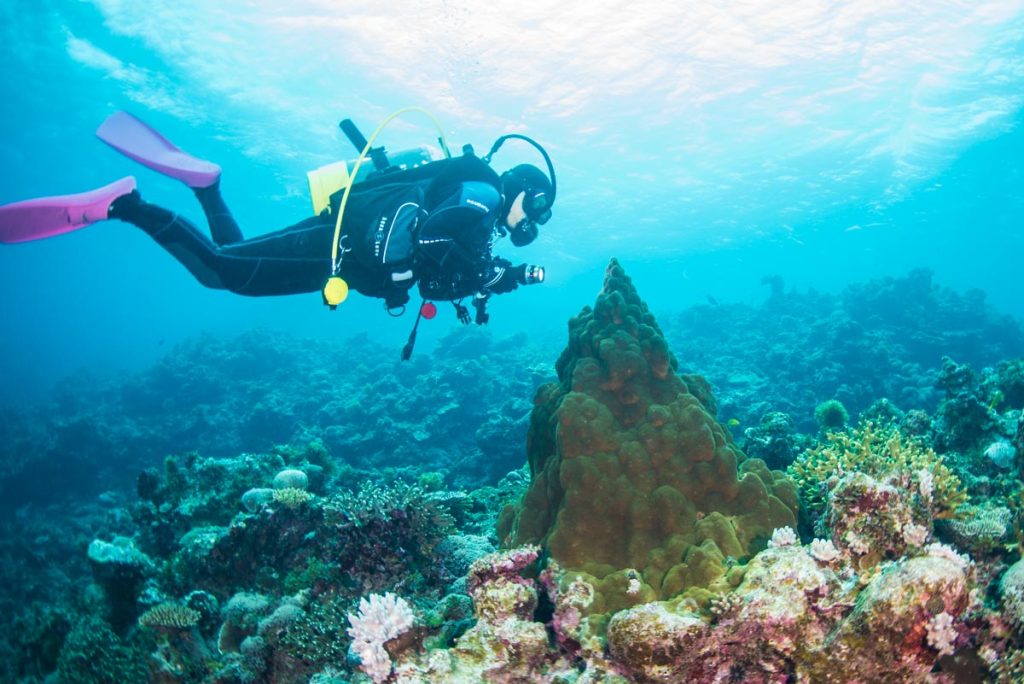 浮原島(与勝諸島)・珊瑚の群生「無限の楽園」