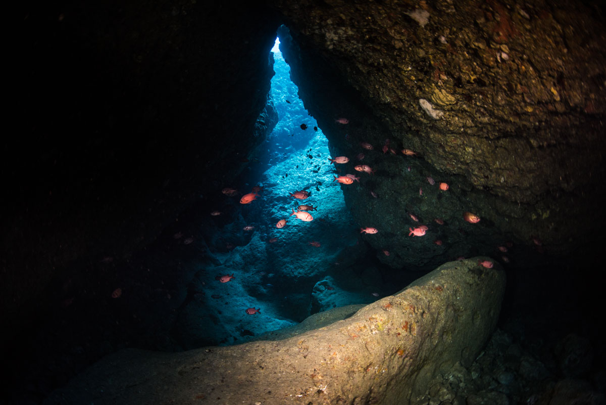 コウリ残波・メインの水中洞窟