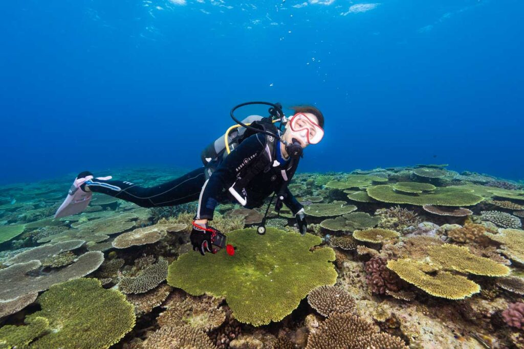 美ら海水族館の沖・秘密基地の珊瑚とダイバー