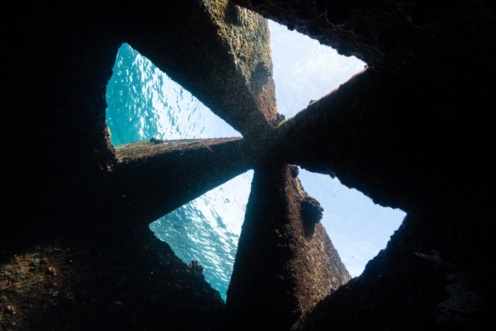 アクアポリス(海上都市跡)の海底遺跡・ブロックの下